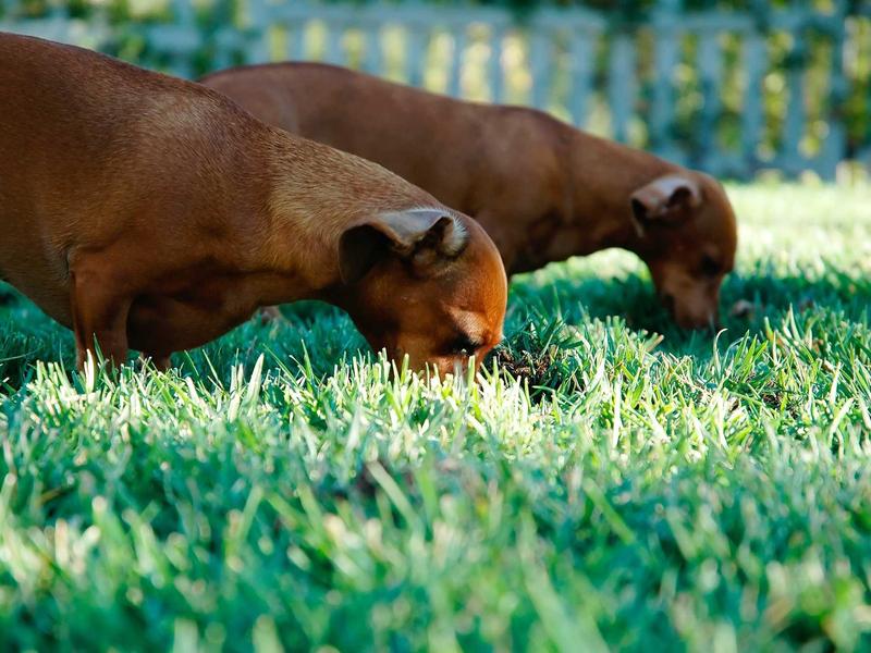 Less is More<br>ujcbtdu.cn 断舍离生活
